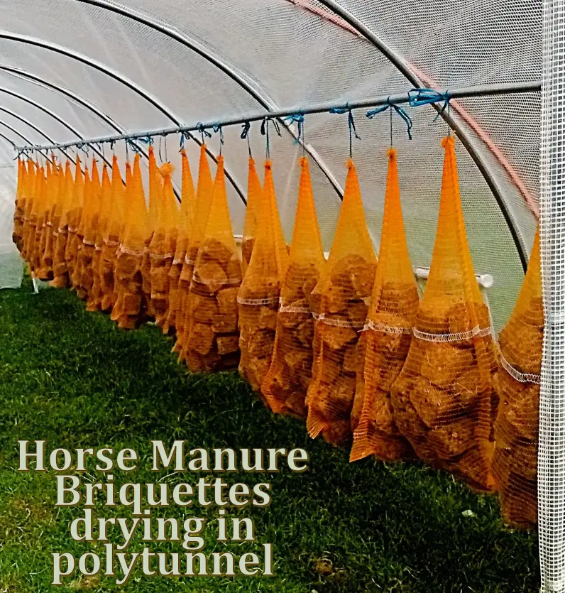 Horse manure briquettes